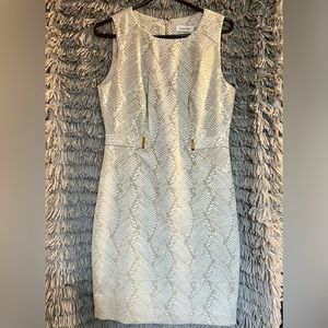 Calvin Klein Dress. Size 10.